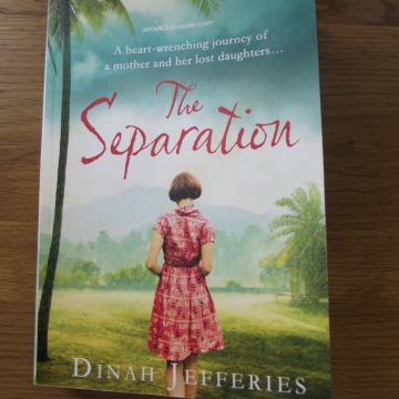 The Separation Dinah Jefferies